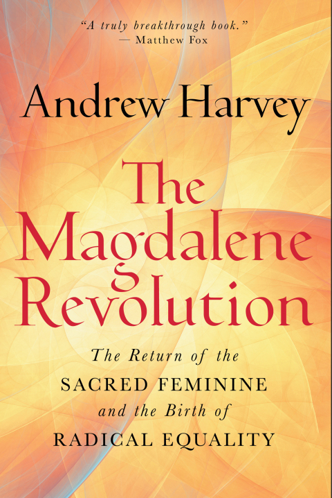 Cover image for book The Magdalene Revolution