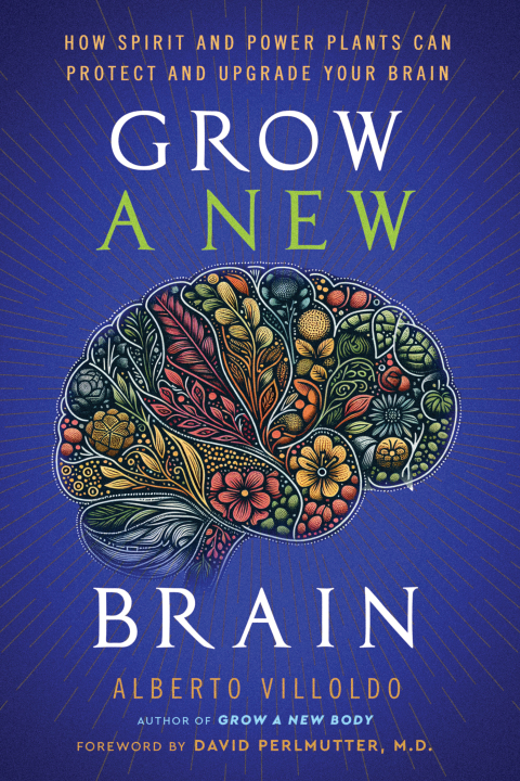 Cover image for book Grow a New Brain