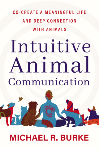 Intuitive Animal Communication
