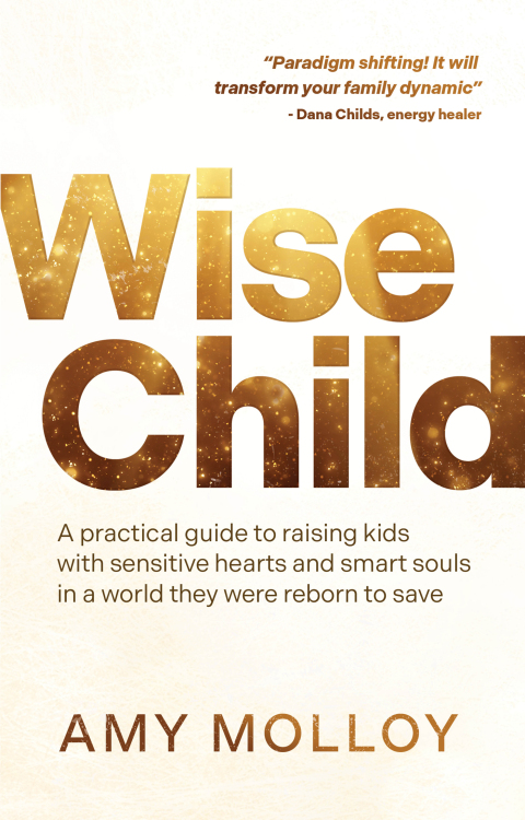 Cover image for book Wise Child