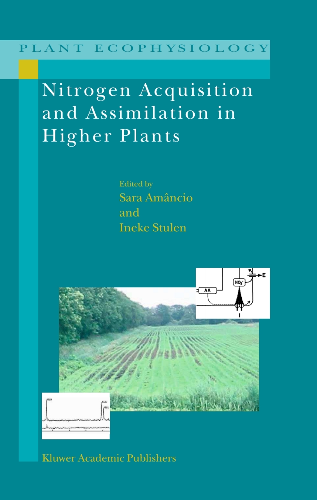 Nitrogen Acquisition and Assimilation in Higher Plants - 1st Edition (eBook Rental)