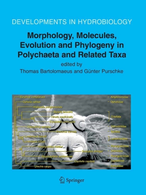 Cover image for book Morphology, Molecules, Evolution and Phylogeny in Polychaeta and Related Taxa