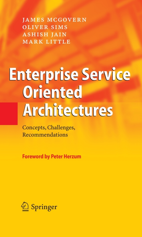 Enterprise Service Oriented Architectures 