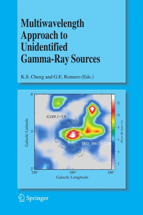 Cover image for book Multiwavelength Approach to Unidentified Gamma-Ray Sources