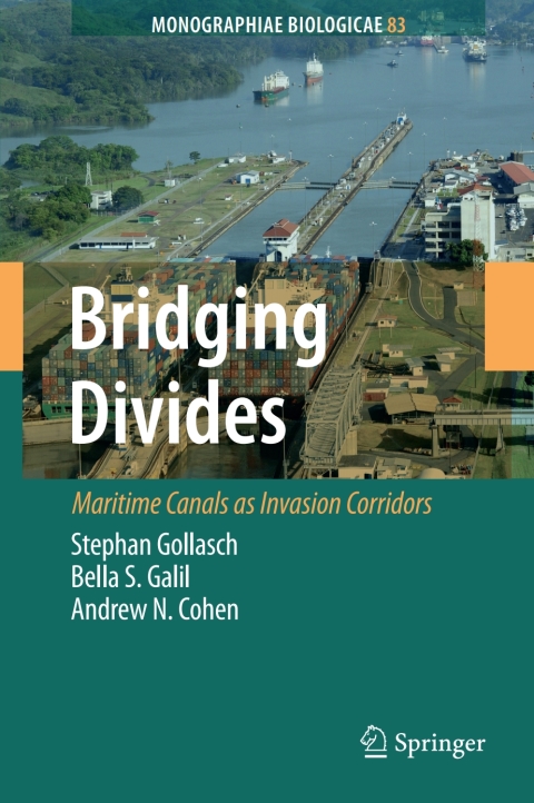 Cover image for book Bridging Divides
