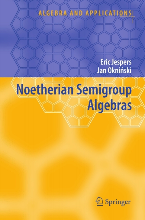 Cover image for book Noetherian Semigroup Algebras