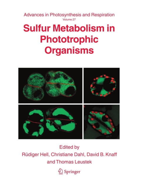 Cover image for book Sulfur Metabolism in Phototrophic Organisms