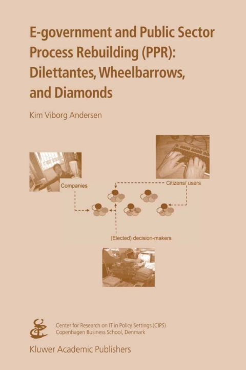 Cover image for book E-government and Public Sector Process Rebuilding