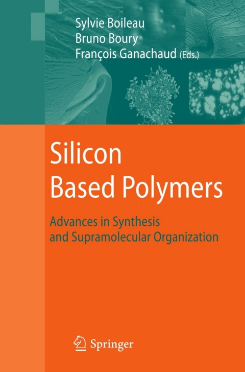Cover image for book Silicon Based Polymers