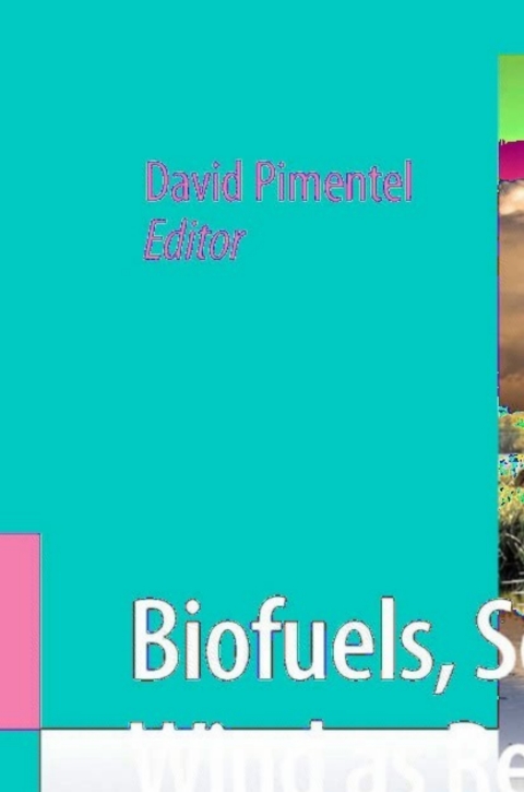 Cover image for book Biofuels, Solar and Wind as Renewable Energy Systems
