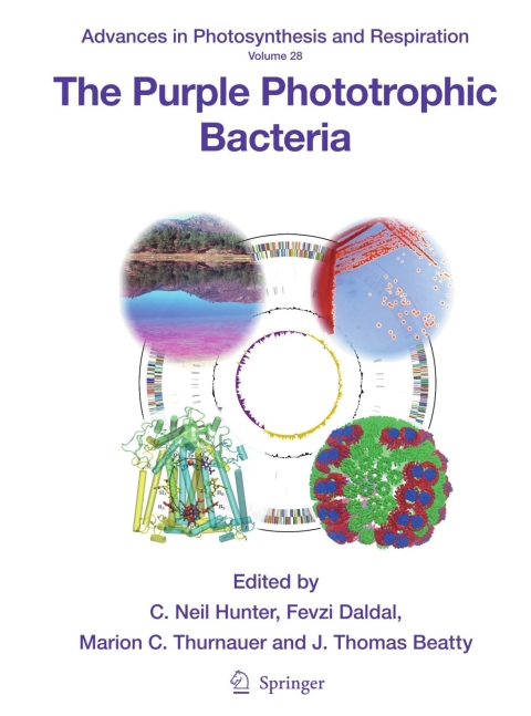 Cover image for book The Purple Phototrophic Bacteria