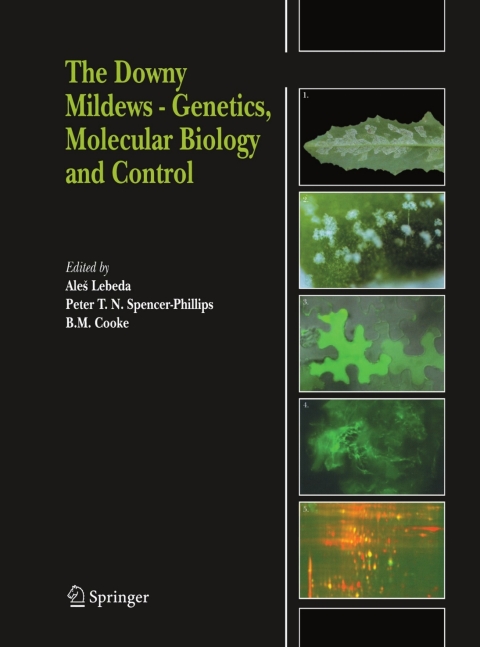 Cover image for book The Downy Mildews - Genetics, Molecular Biology and Control