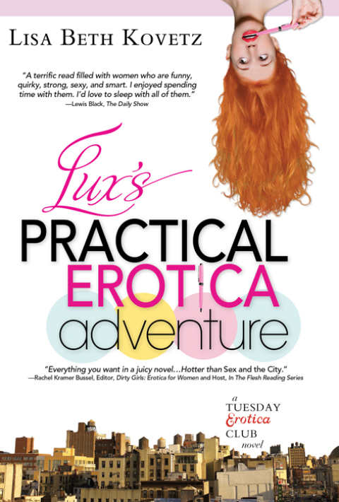 Cover image for book Lux's Practical Erotica Adventure