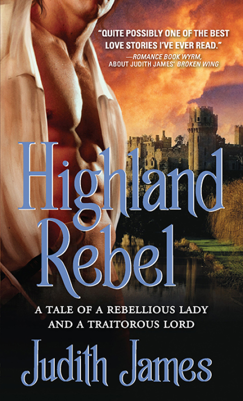 Cover image for book Highland Rebel