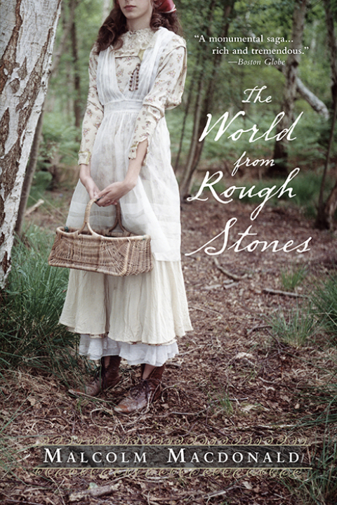 Cover image for book The World from Rough Stones