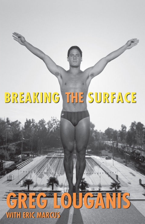 Cover image for book Breaking the Surface