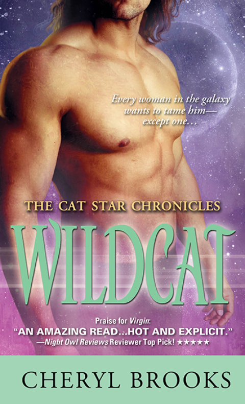 Cover image for book Wildcat