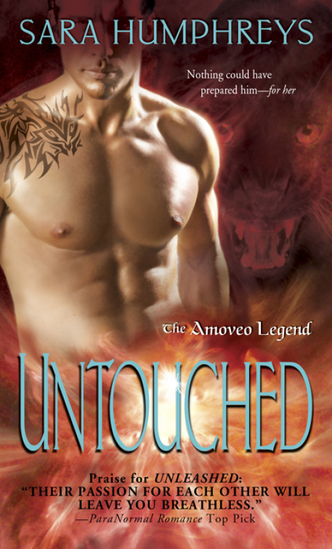 Cover image for book Untouched