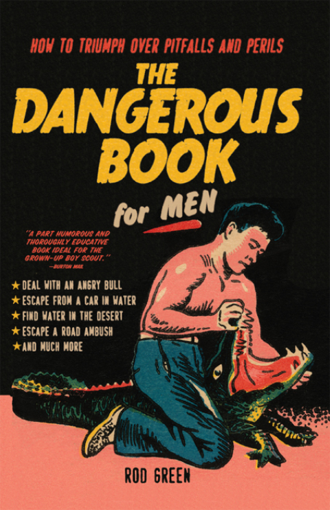 Cover image for book The Dangerous Book for Men