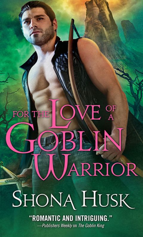 Cover image for book For the Love of a Goblin Warrior