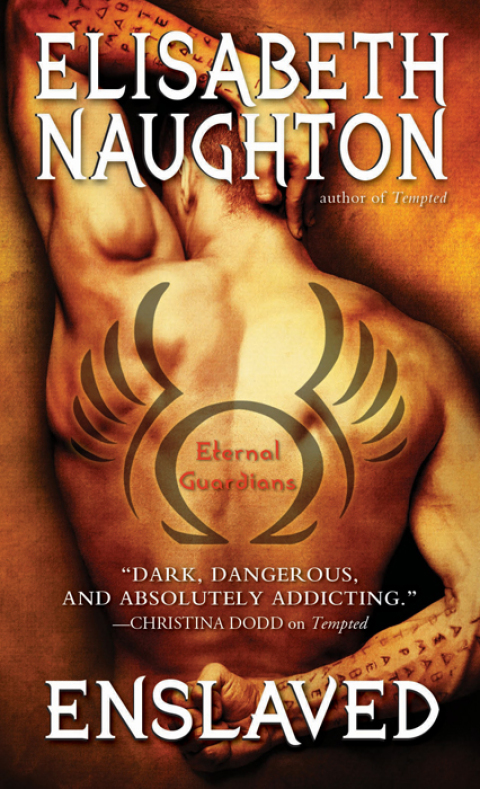 Cover image for book Enslaved