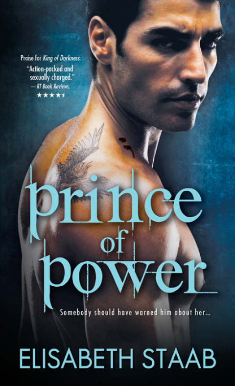 Cover image for book Prince of Power