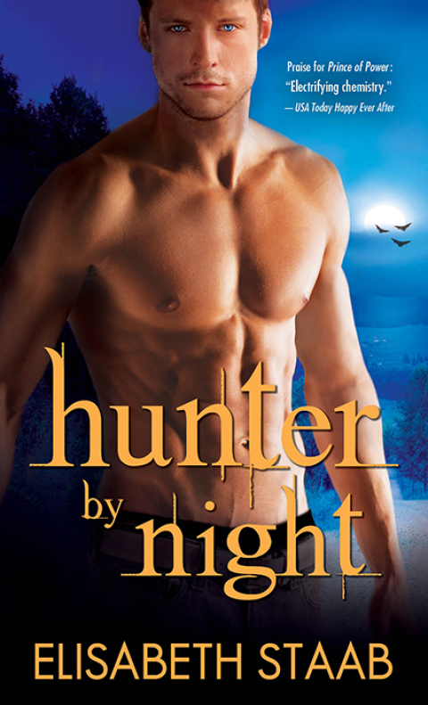 Cover image for book Hunter by Night