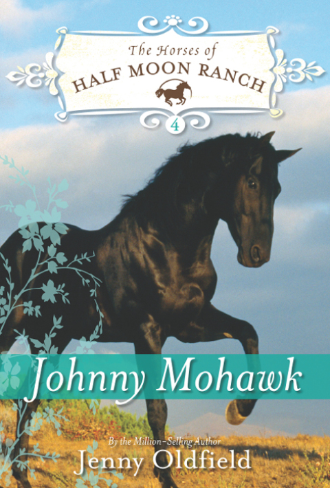 Cover image for book Johnny Mohawk