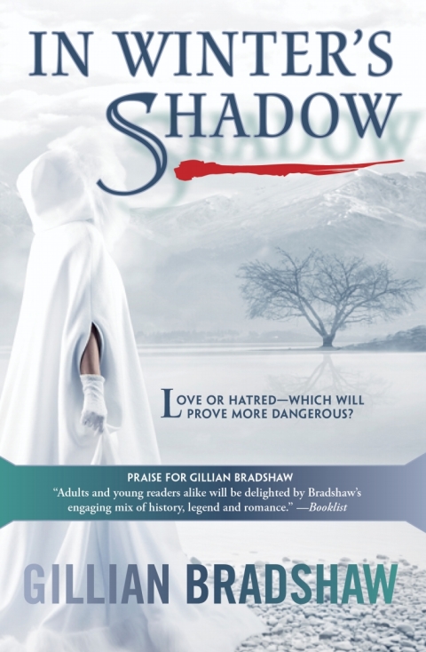 Cover image for book In Winter's Shadow
