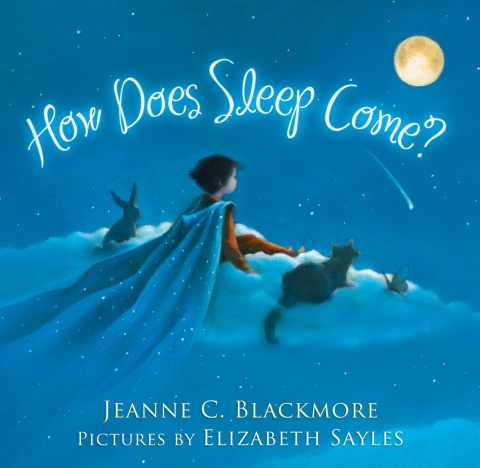 Cover image for book How Does Sleep Come?