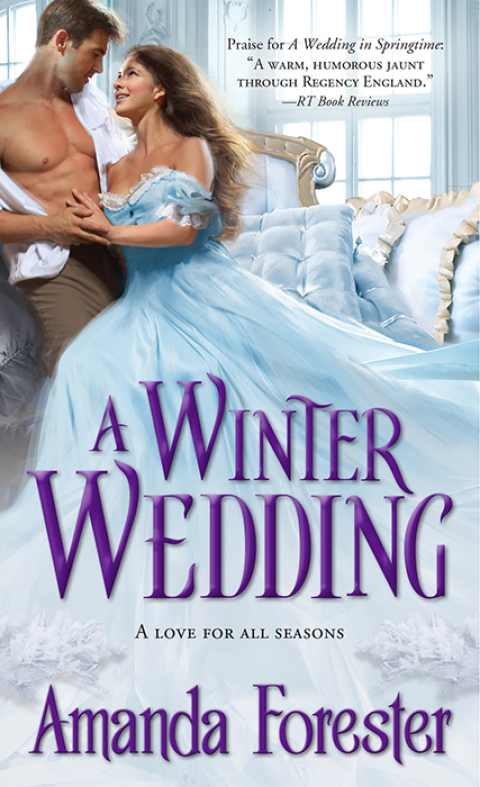 Cover image for book A Winter Wedding