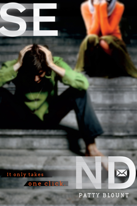 Cover image for book Send