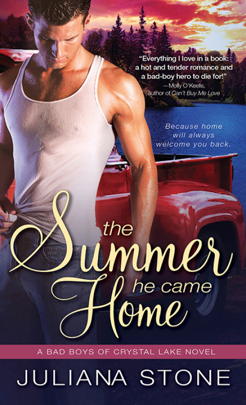 Cover image for book The Summer He Came Home
