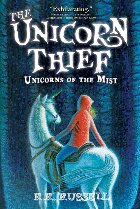 Cover image for book The Unicorn Thief