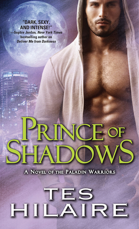 Cover image for book Prince of Shadows
