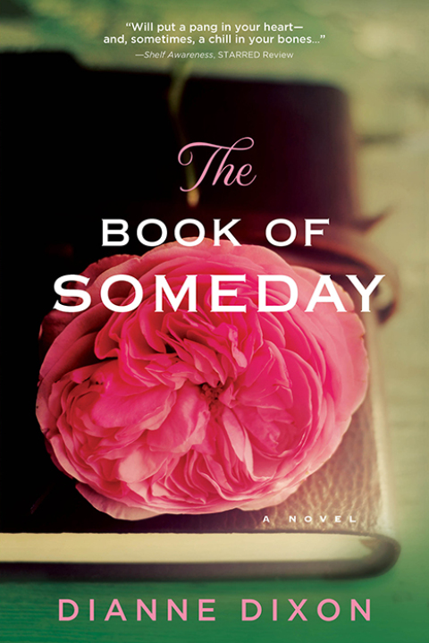 Cover image for book The Book of Someday