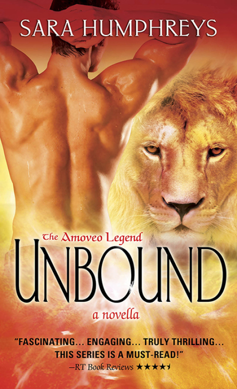 Cover image for book Unbound