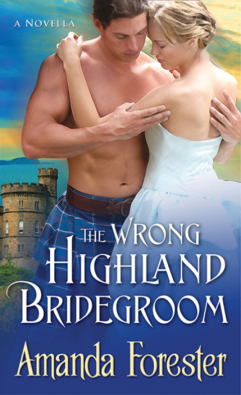 Cover image for book The Wrong Highland Bridegroom
