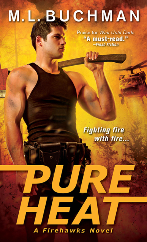 Cover image for book Pure Heat