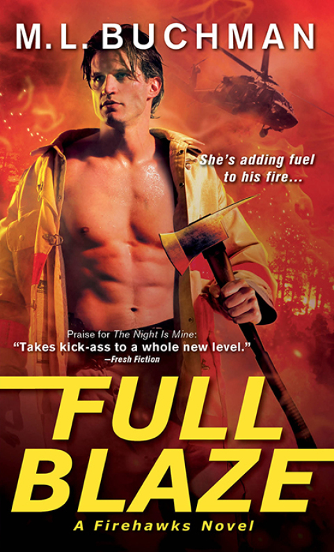 Cover image for book Full Blaze