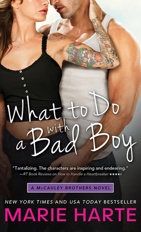 Cover image for book What to Do with a Bad Boy