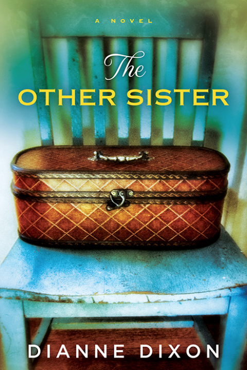Cover image for book The Other Sister