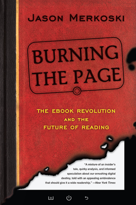 Cover image for book Burning the Page