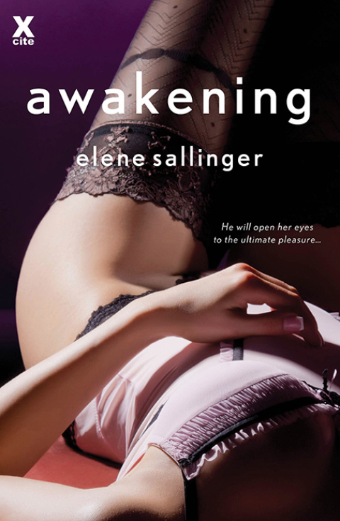 Cover image for book Awakening