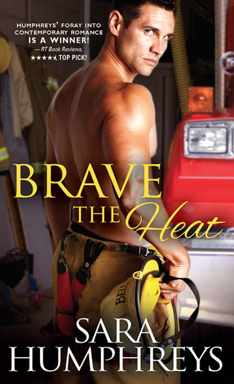 Cover image for book Brave the Heat