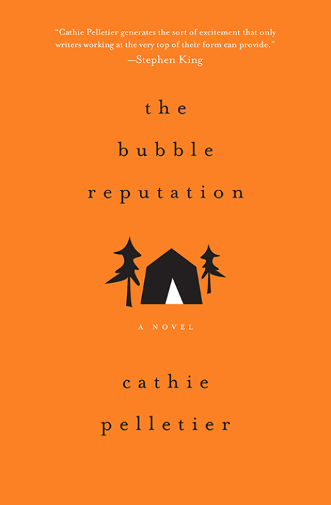 Cover image for book The Bubble Reputation