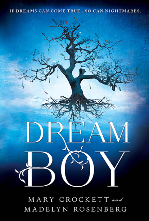 Cover image for book Dream Boy