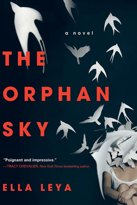 Cover image for book The Orphan Sky