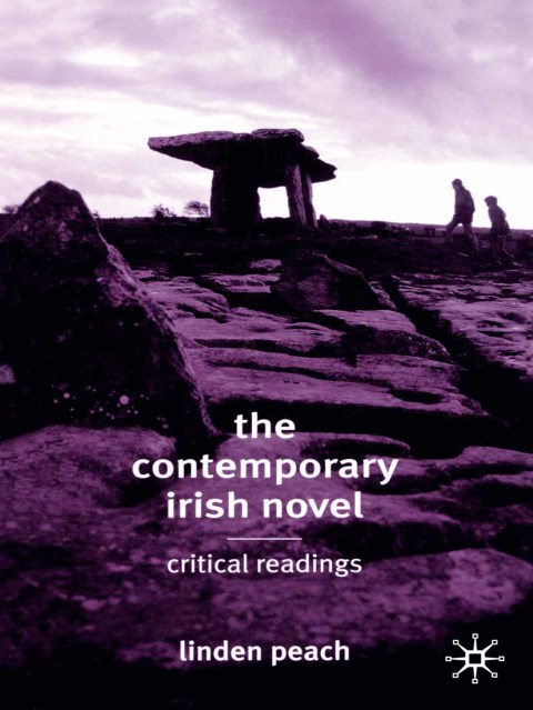 Cover image for book The Contemporary Irish Novel