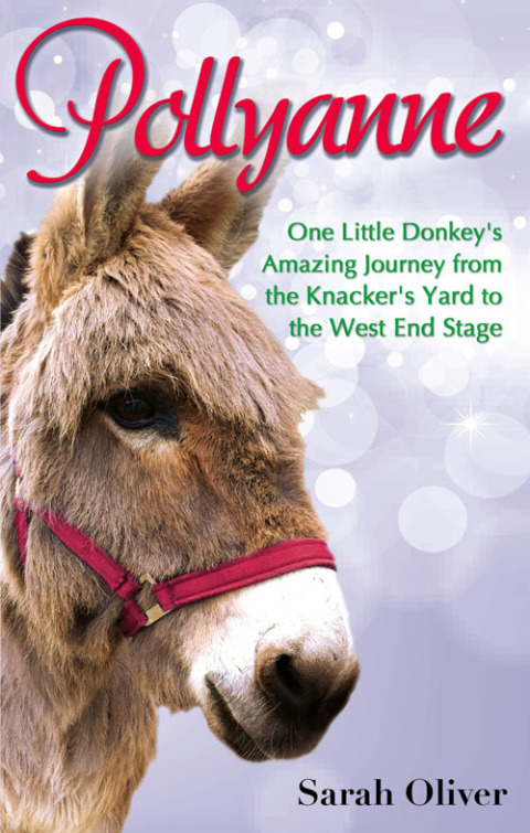 Cover image for book Pollyanne